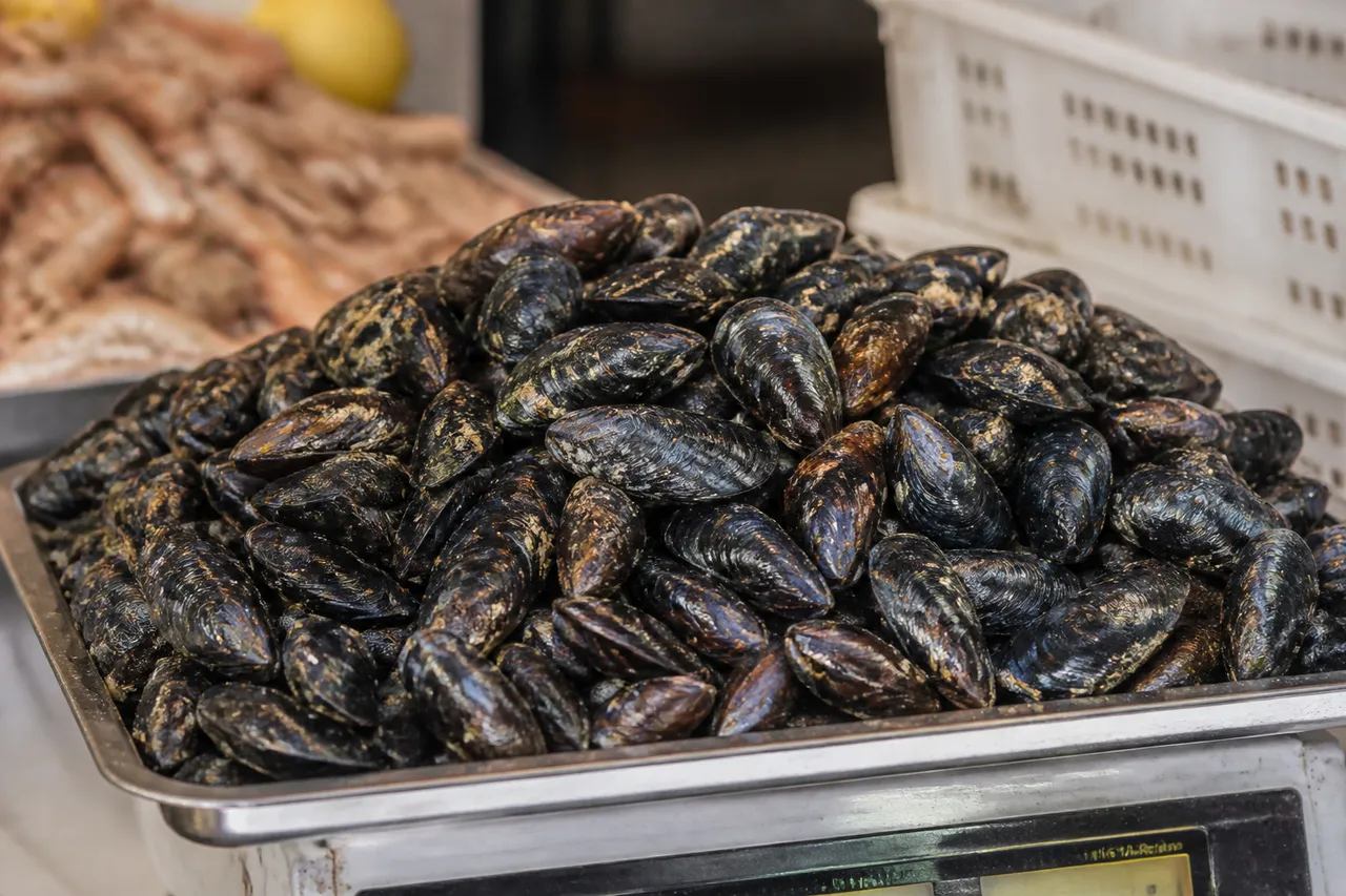 Grande quantité de moules pour 5 personnes sur une balance