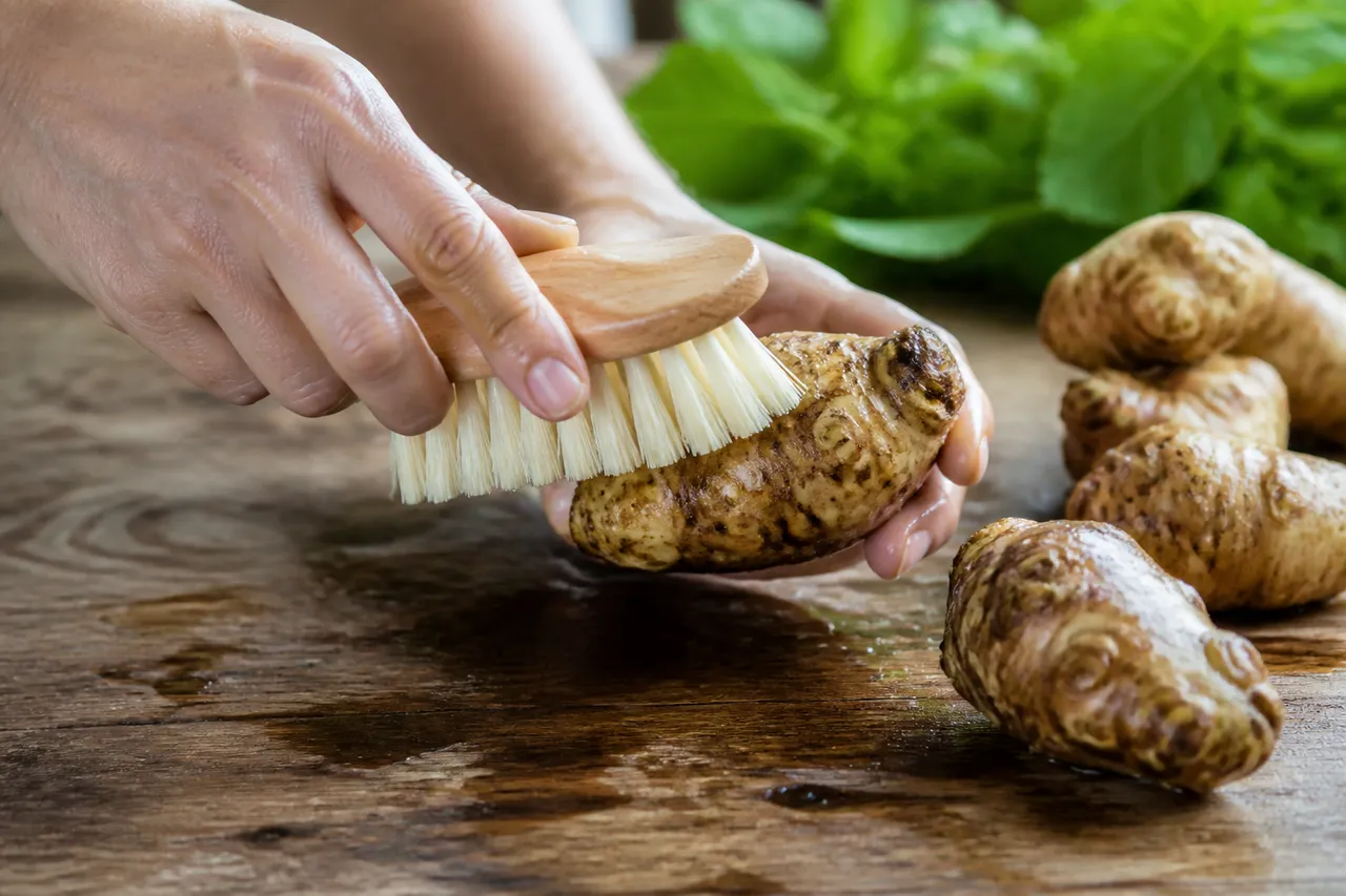 Préparation des topinambours avant cuisson à la cocotte-minute